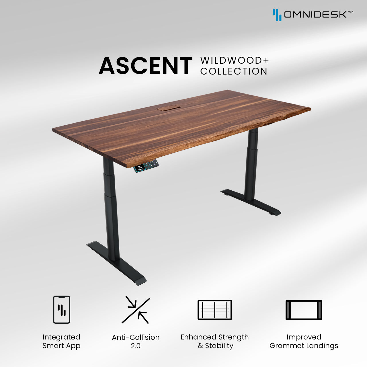 media-config:ascent-wildwood-plus-collection